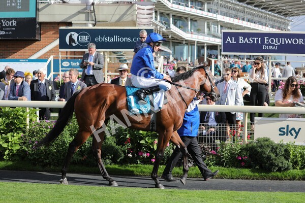 yr19082022r7-11 - Race 7 5.20pm Sky Bet Mile Stakes