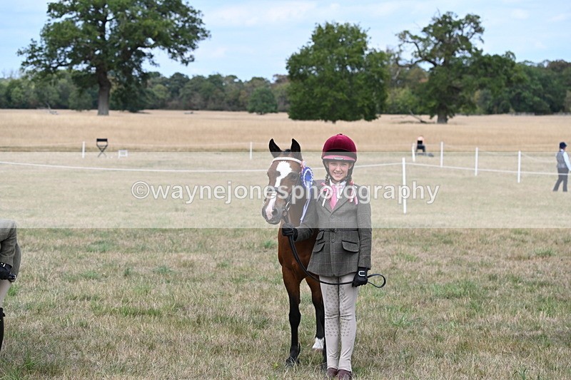 WJ6_6296 - Class 19 In-hand Veterans (Uploaded correct folder)