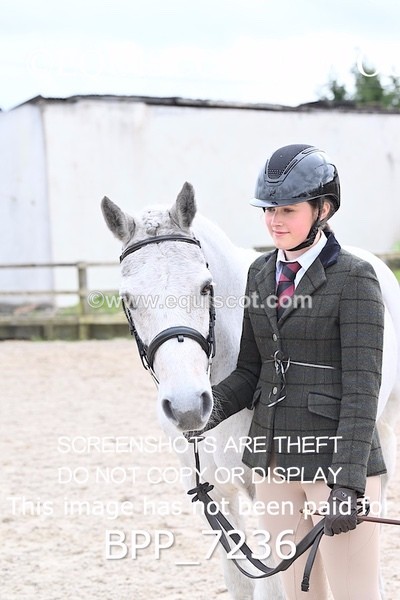 BPP_7236 - RING 1  (RIDDEN HORSES / IN HAND / VETERAN ETC)