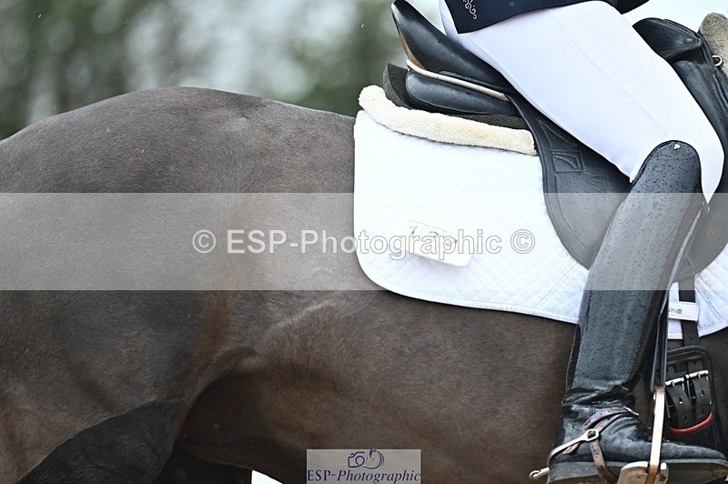 250214-132810-01922 - 122-Sally.Green-Keystone.Fernandina