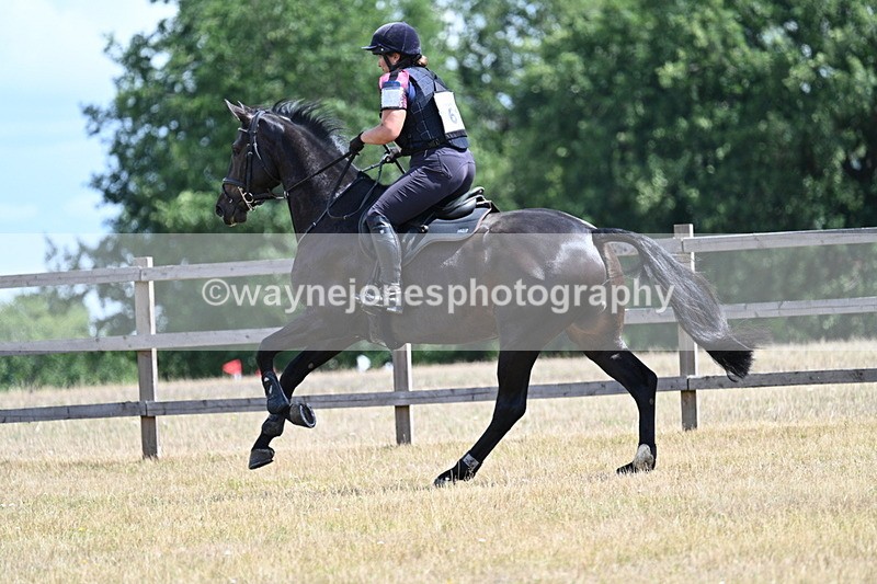 WJ7_1187 - 60cm Time 12:53 to 13:19