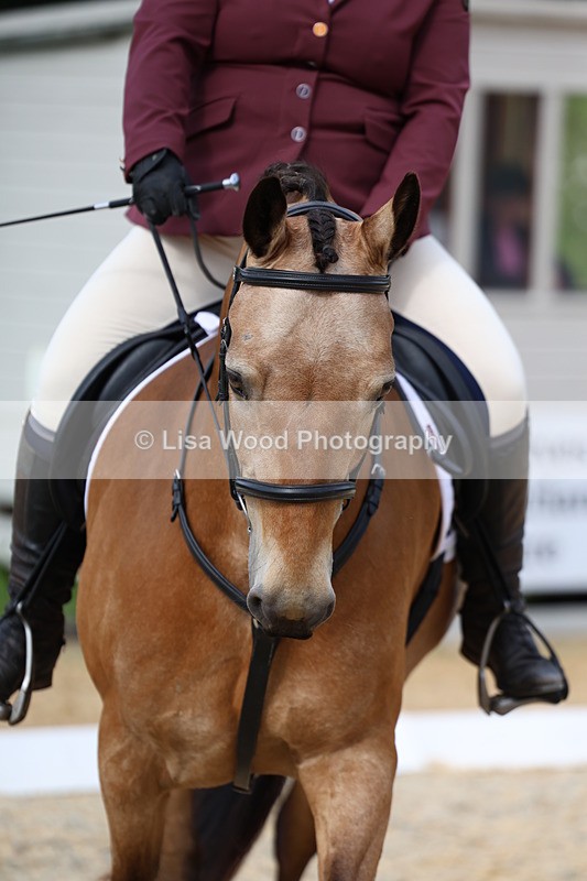 3E7A1506 - Class 2: Intro 2 2024 Section B