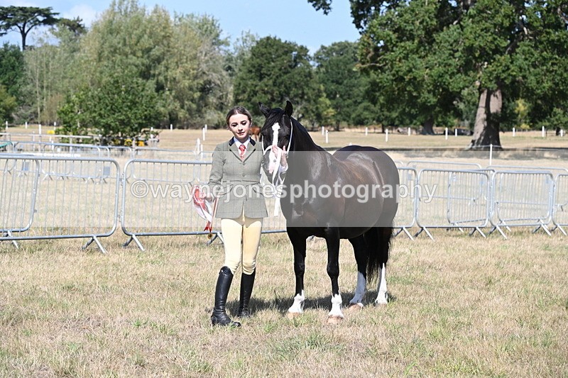 WJ6_5028 - Class 17 Mountain & Moorland