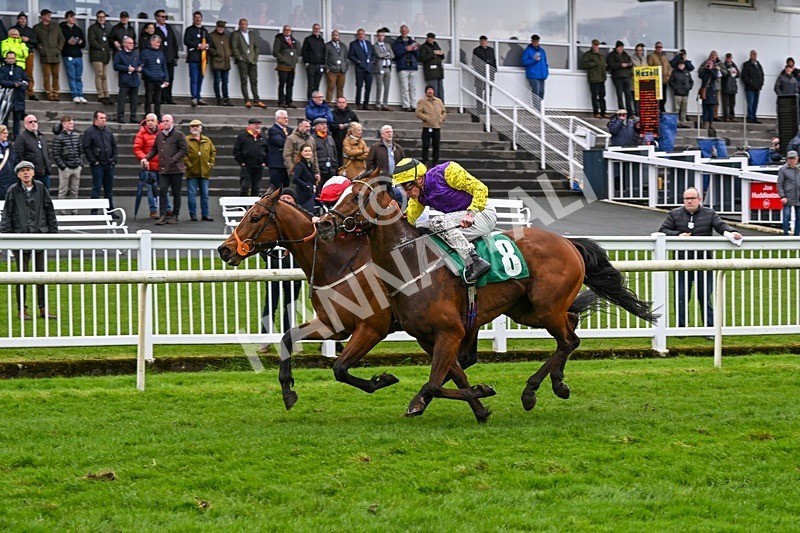  - Race 5