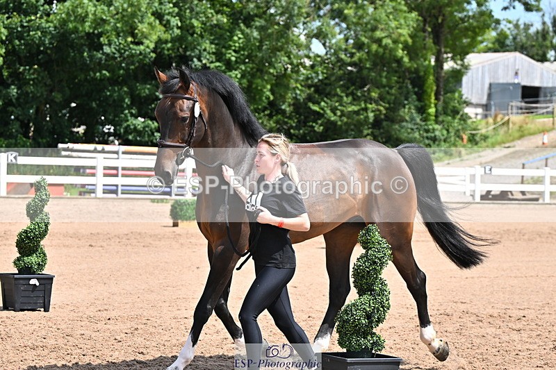 240718A-105249-01208 - Trot Up 12pm to 1pm