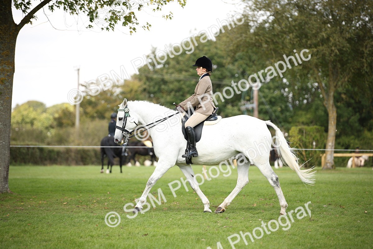 SBM_65932 - S64 - Riding Horse & Hack & Thoroughbred Ridden