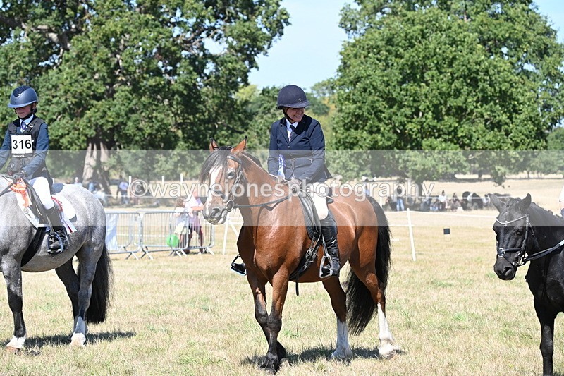 WJ6_8475 - Class 37a Best Loan Pony Ridden