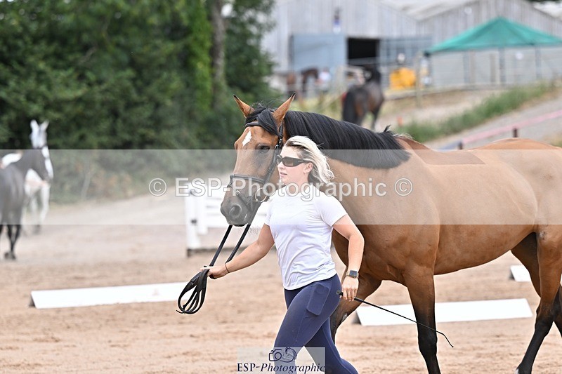 250716-134224-00652 - Trot Up 1.30 to 2.30