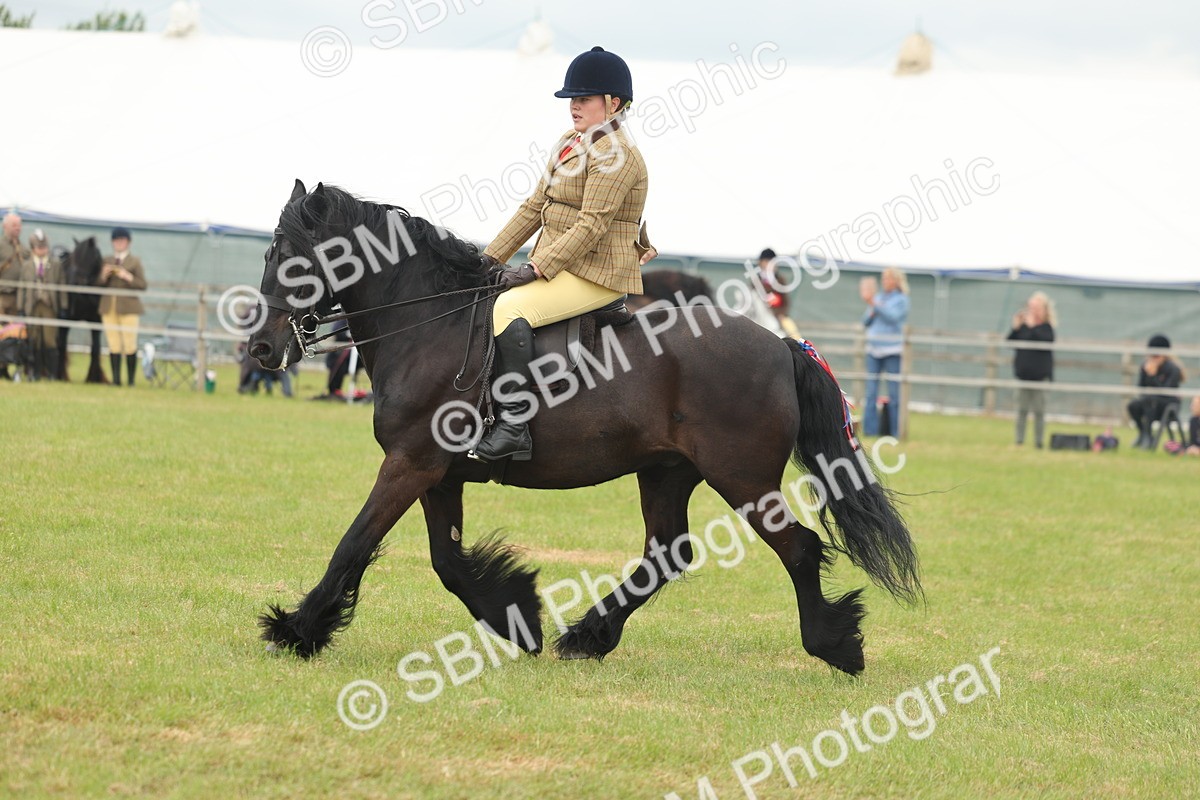 SBM_08959 - Class 78-80 - Ridden M&M Non Welsh Ponies
