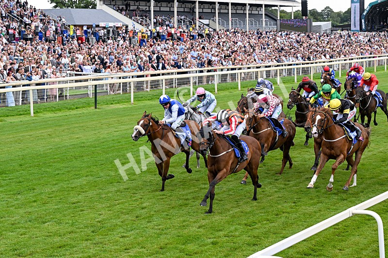 250726-Race 1-Kodiac Thriller-0543 - Race 1 13.30pm Sky Bet 'Jump Jockeys' Nunthorpe' Handicap