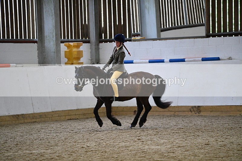WJ5_6923 - Class 10 Childs Pony