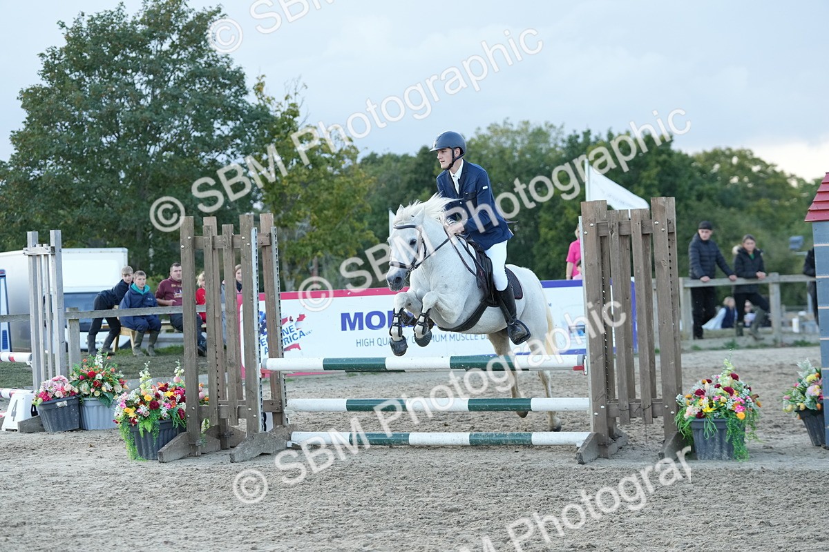 SBM_54186 - Supreme Championship 60cm 65cm