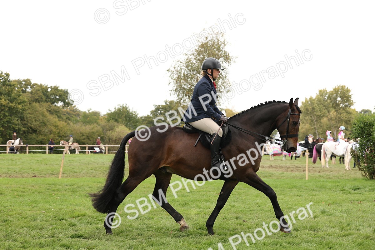 SBM_63024 - S64 - Foreign Breeds Ridden