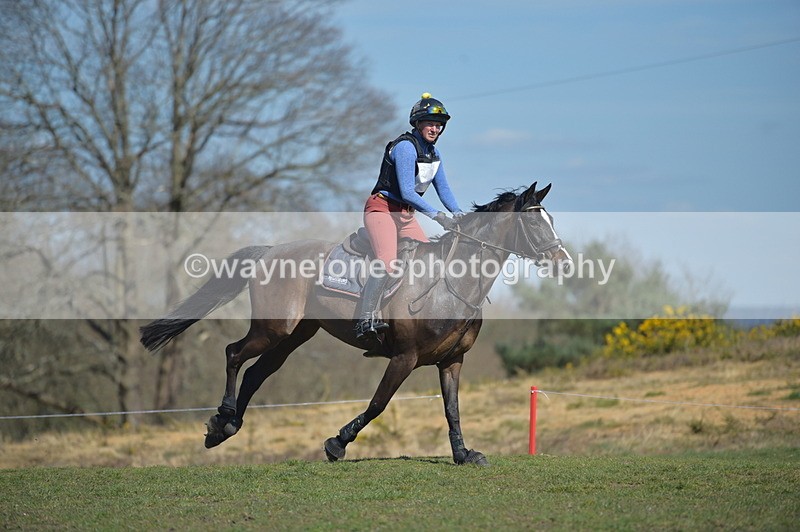 NGP_8234 - XC Time 13:29 to 13:34