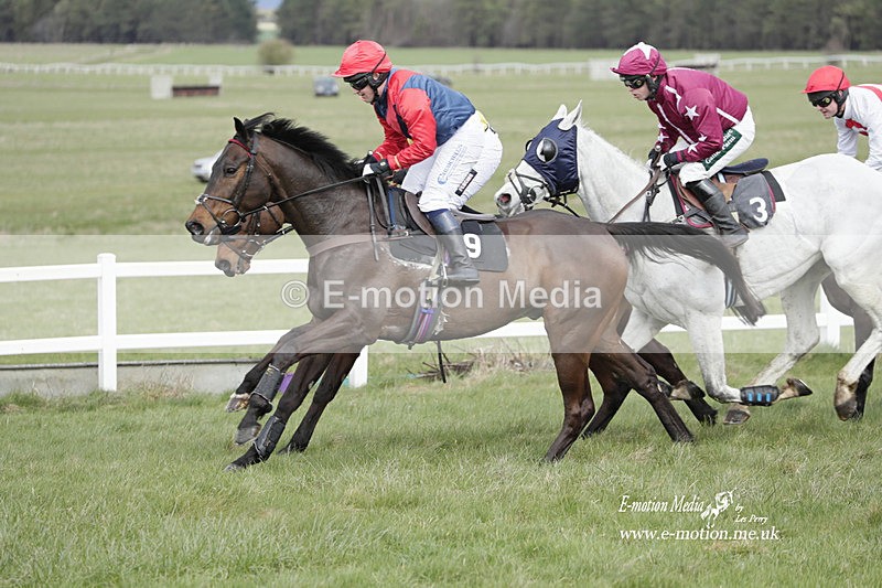 PtP 260323 0393 - New Forest Hounds Point-to-Point Larkhill 26/03/23