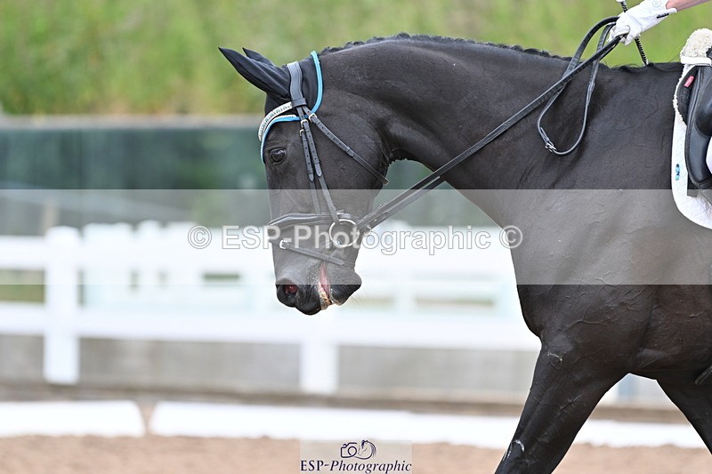 240622A-135910-18596 - Cls 32 BD Medium 69