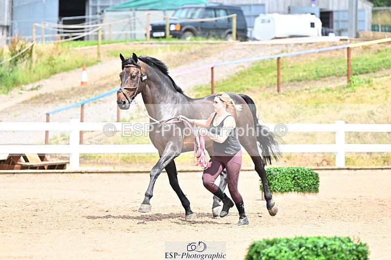 240718A-105322-01900 - Trot Up 1pm to 2pm