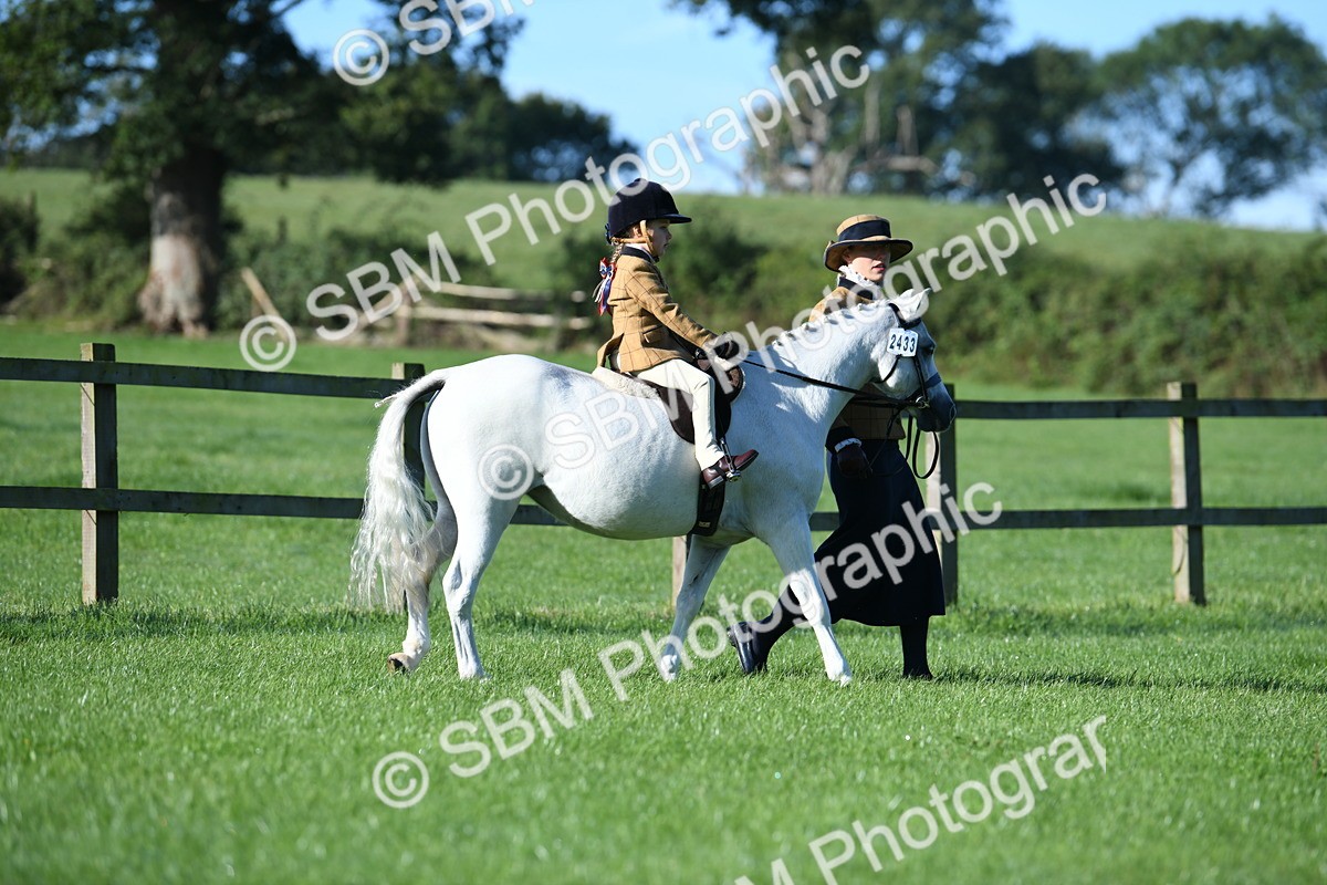 SBM_35295 - S17 - Condition & Turnout - Lead Rein
