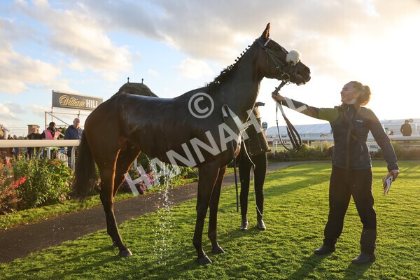 yr07102022r7-61 - Race 7 5.35pm IRE Incentive, It Pays To Buy Irish Stakes