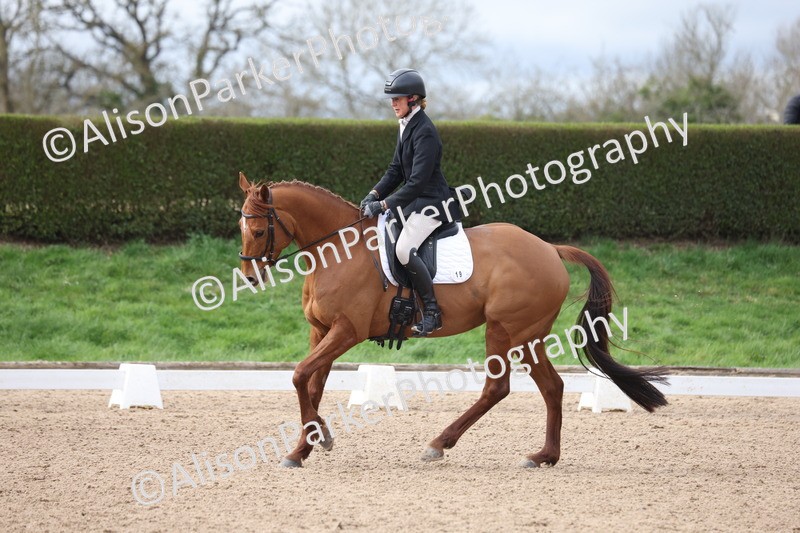 20260301-0538 - Class 4 - Novice 5