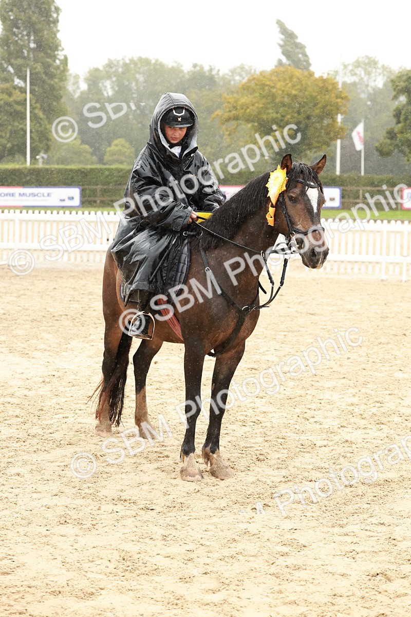 SBM_72240 - J14 - Junior Pony 65cm Championship