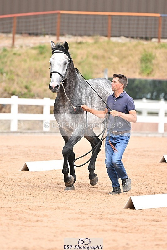 250716-153823-02075 - Trot Up 3.30 to 4.30