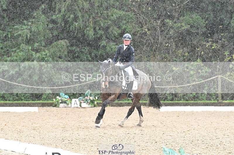 251023A-121718-02195 - B-143-Amber.Williams