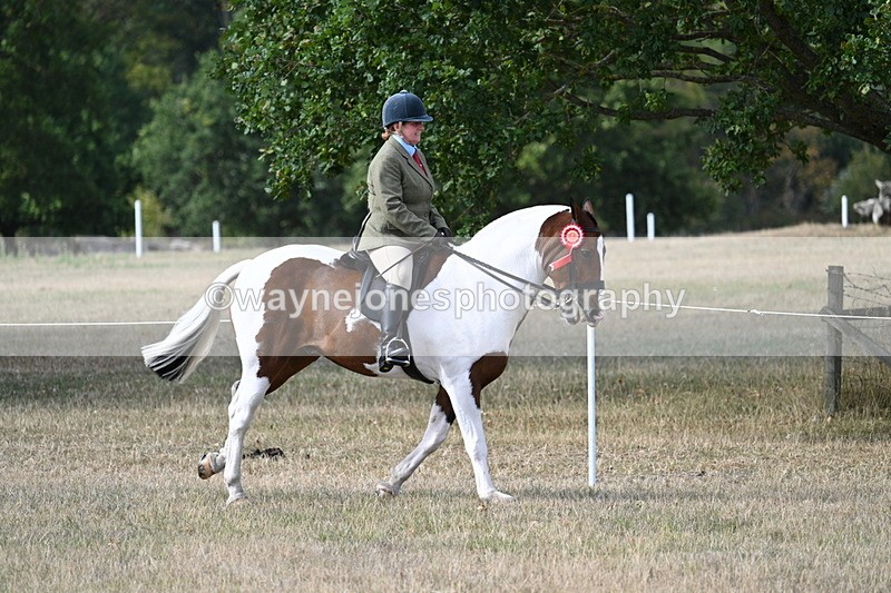 WJ7_7749 - Ridden Championship
