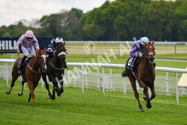 yr22052021r2-17 - Race 2 2.40pm William Hill Brontë Cup