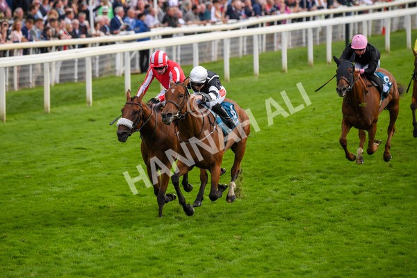 250823-Race 5-Reach-0865 - Race 5 4.10pm Assured Data Protection EBF Fillies' Handicap