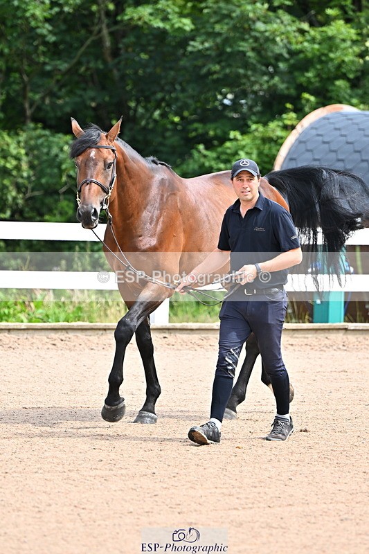 240718A-105236-00878 - Trot Up 11am to 12pm