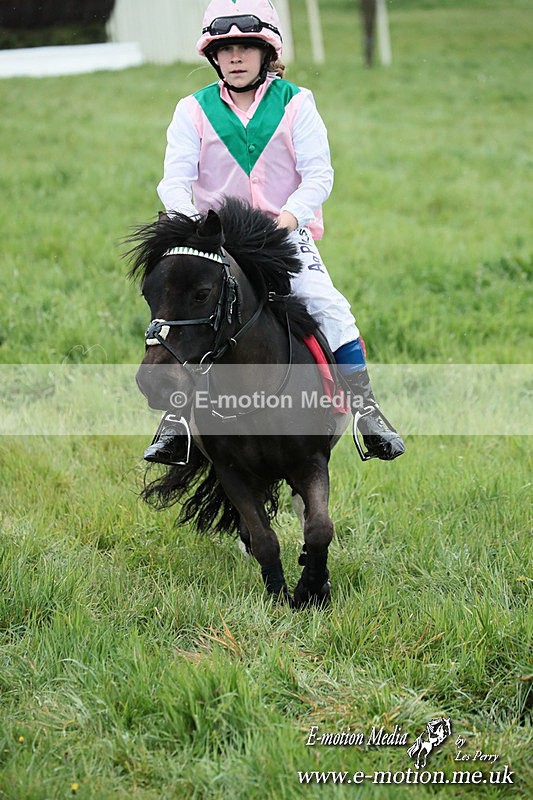 SHETPR 210425 240 - Shetland Ponies Paxford Races 21/04/25