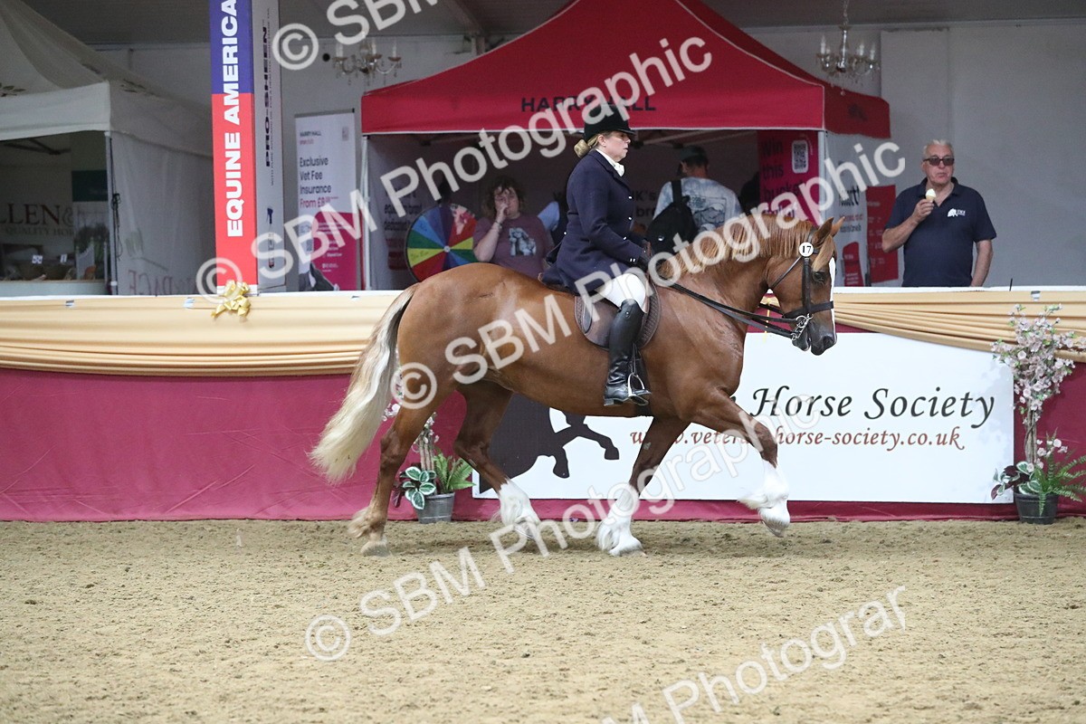 SBM_17197 - M&M Supreme Final Champ