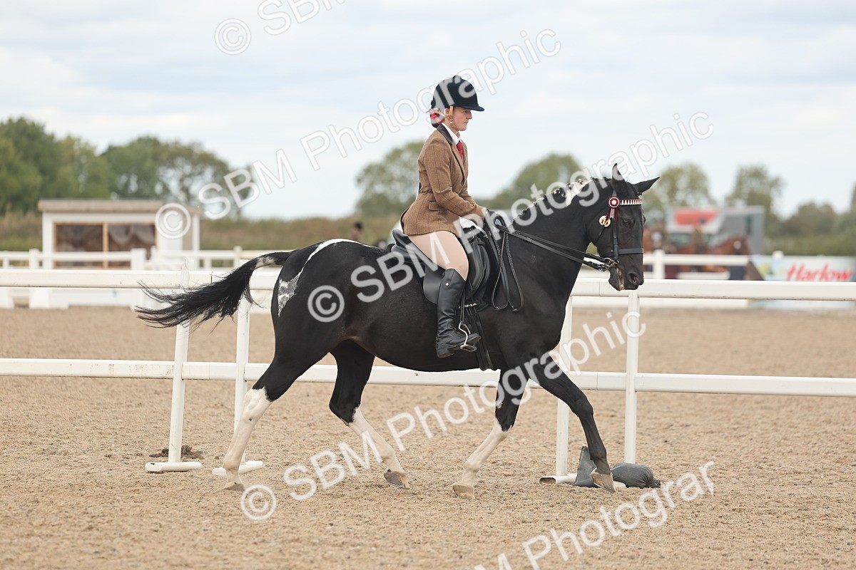 SBM_18114 - Class 315 - Best Horse-Rider Combination