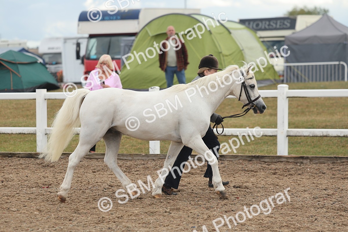 SBM_08495 - Class 29 - IH Veteran Pony