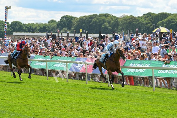 140625-Race 2-My Dream World-2298 - Race 2 2.25pm Queen Mother's Cup Handicap