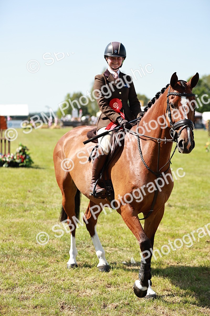 SBM_18463 - Class 112-113 - BSPS LIHS Working Sports Pony