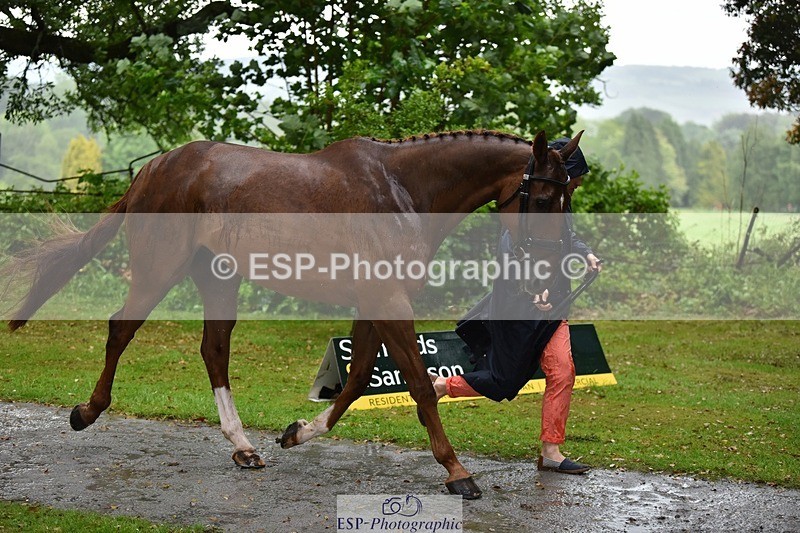 240522-153234-00415 - 363-FORTHRIGHT-Matthew_Glentworth