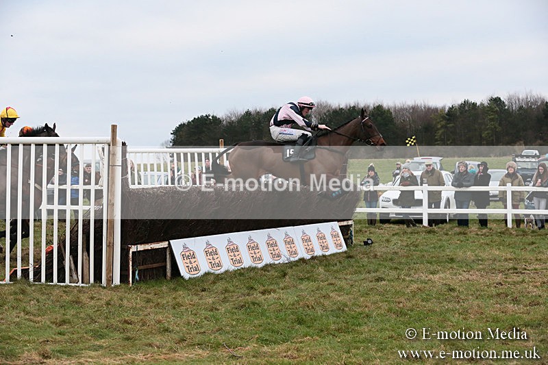 PtP 060119 458 - Larkhill Racing Club - Point-to-Point- 06/01/2019