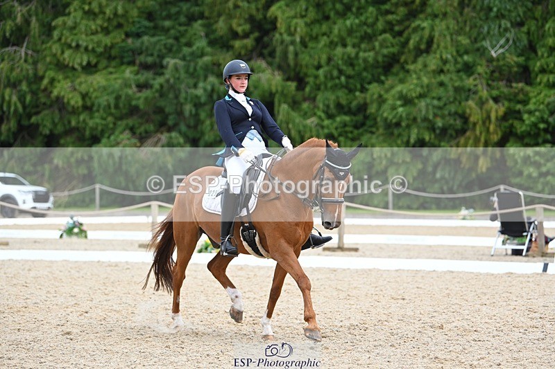 230813-133732-07610 - Cls 13 Medium Bronze 13.15 to End