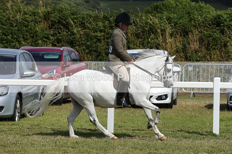 1X9A5703 - Class 40: NPS Welsh A & B