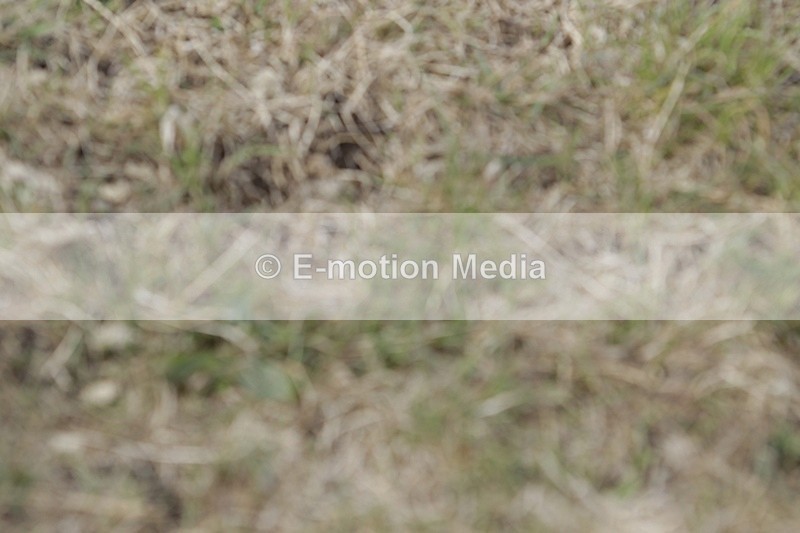 BVHT 140517 I-689 - Class 1 SJ Intermediate 14/05/17