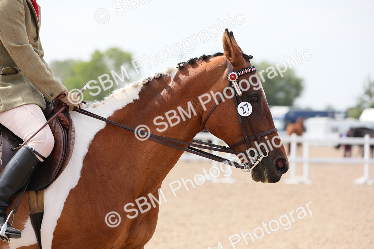 SBM_13421 - Class 308 Ridden Coloured Horse