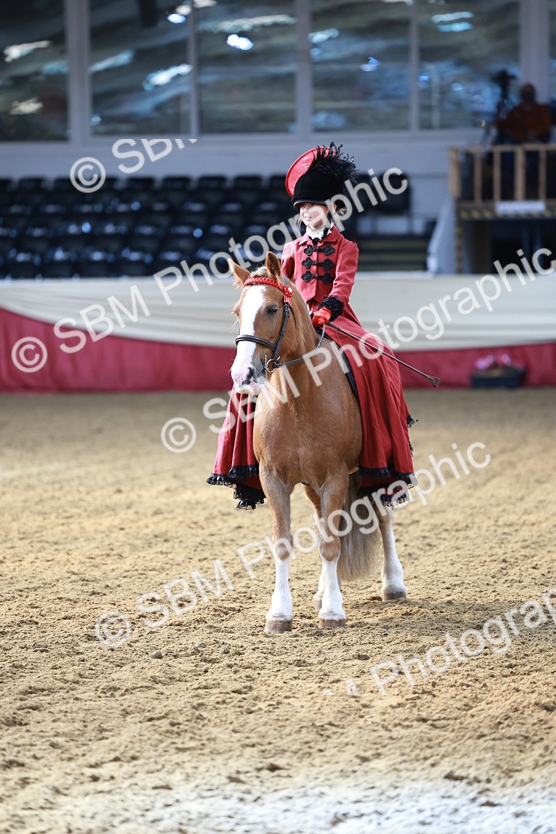 SBM_13464 - Class 104 - Ridden Costume - Astride Junior