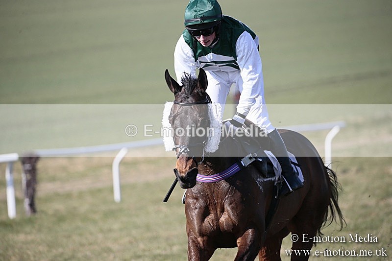 PtP 240218 104 - Vine & Craven Hunt Point-to-Point Barbury racecourse 24/02/18