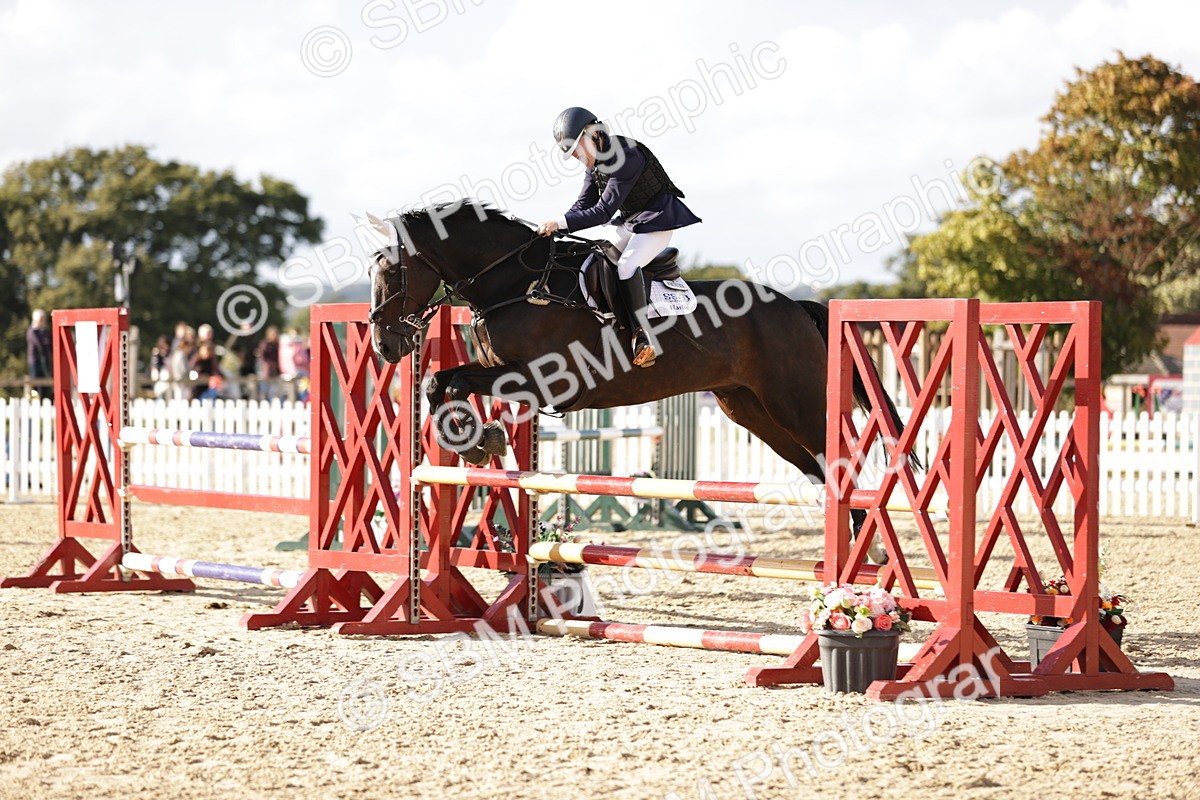 SBM_28590_J46 - Accumulator 80 90cm - David Walker