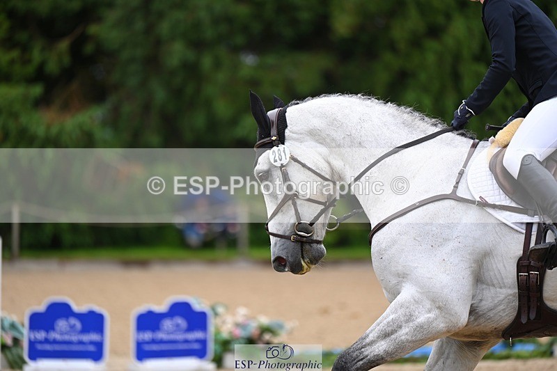 240526-153234-24980 - 281-UNSTOPPABLE_VAN_'T_CRAEYNEST_Z-Valentine_Emsens