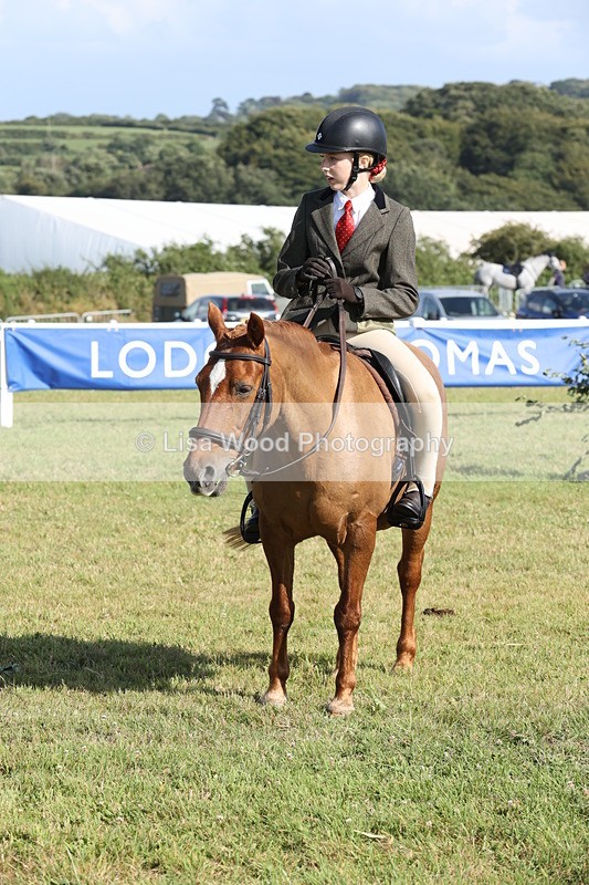 JPP_3029 - Class 20: Working Hunter 70cm