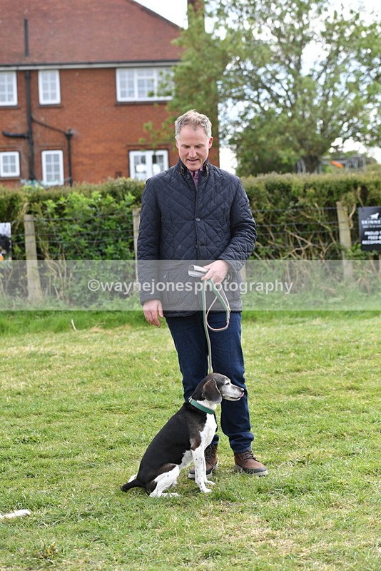 WJ5_0165 - Class 5 Best Veteran / 7 years & over