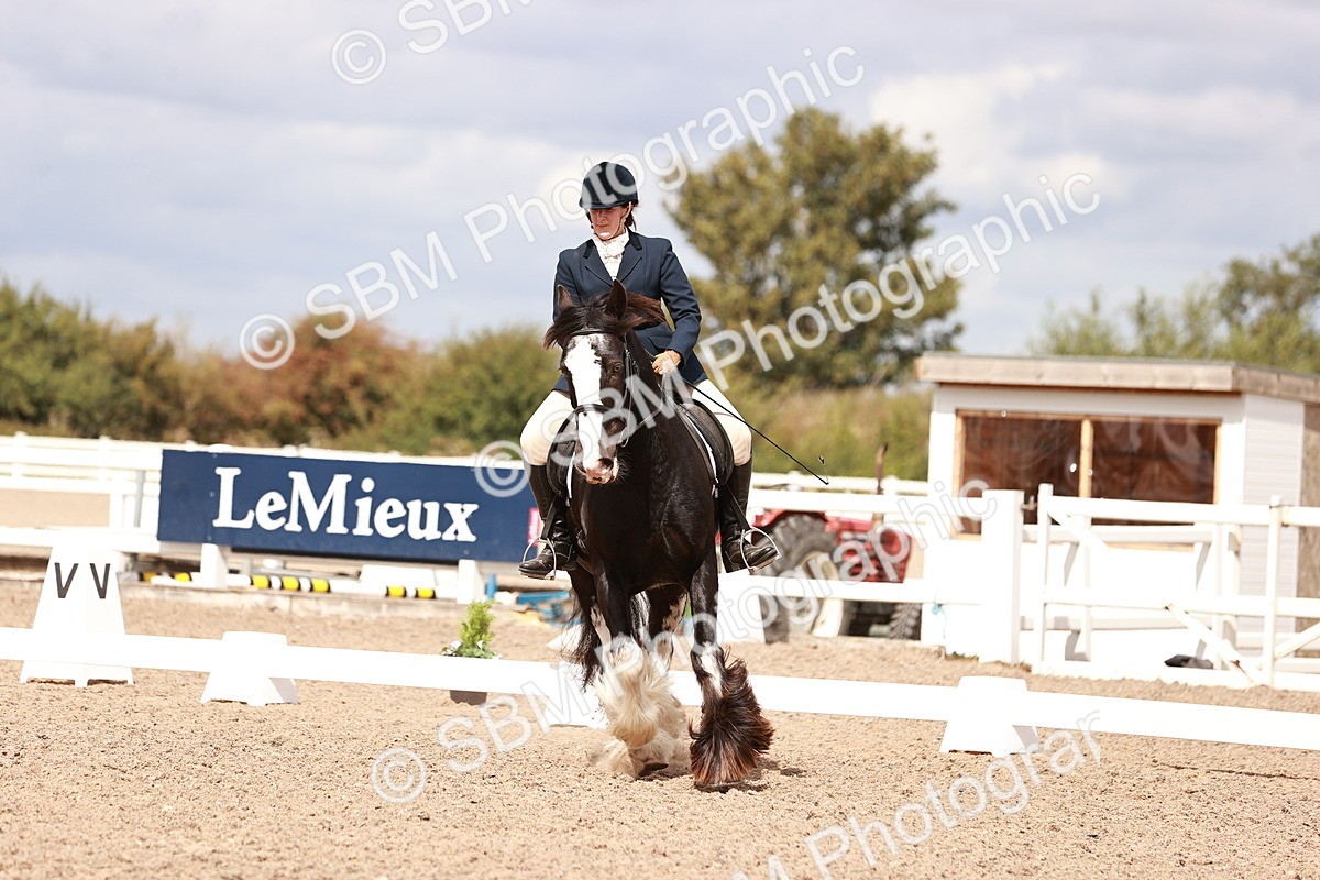 SBM_06201 - Class 37 - Novice 5